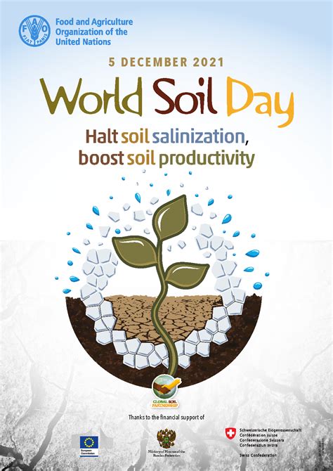 world soil day 2023
